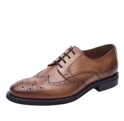 Outdoor-Schuhe für Männer, braun, Farbmischungen, Luxus-Schuhe für Männer